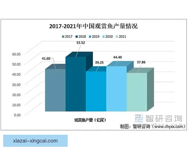 布拉德福德队最新赛季表现分析与未来发展前景预测
